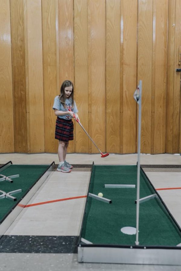 9 Hole Miniature Golf - Image 4