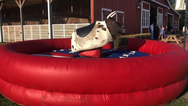 Mechanical Bull - Image 2