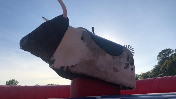 Mechanical Bull - Image 4