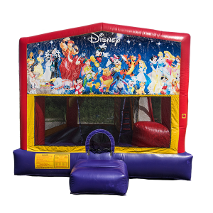 World of Disney Combo Bouncer