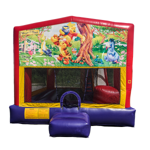Winnie the Pooh Combo Bouncer