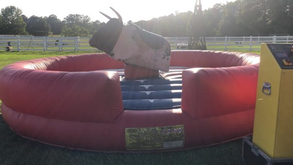 Mechanical Bull - Image 3