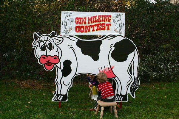 Cow Milking Contest - Image 2