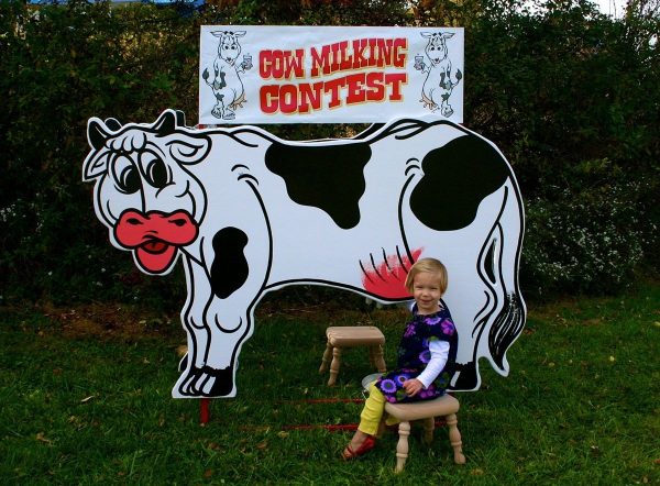 Cow Milking Contest