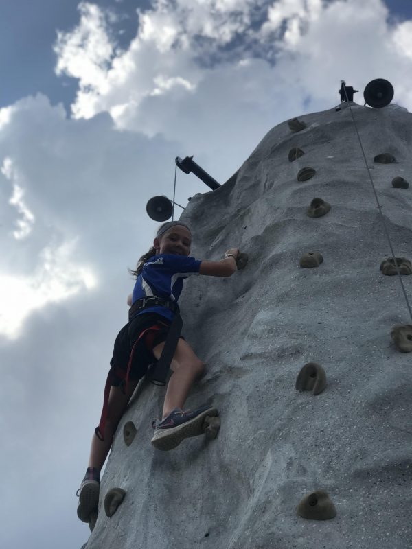 25' Rock Climbing Wall - Image 5