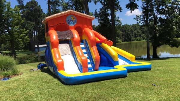 Splash Island - Image 5