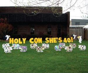 Holy Cow Theme