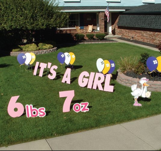 Its a Girl Stork